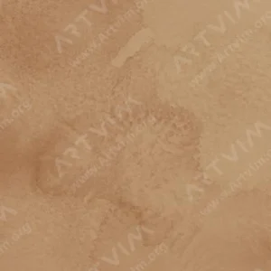 وینزور و نیوتن : آبرنگ حرفه‌ای : Raw Umber