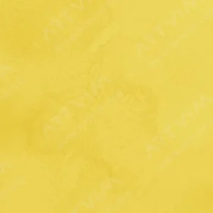 وینزور و نیوتن : آبرنگ حرفه‌ای : Winsor Yellow