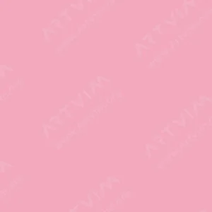 وینزور و نیوتن : مارکر آبرنگی : Permanent Rose