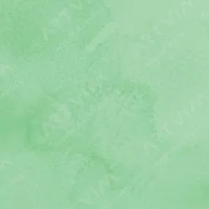 شین‌هان : آبرنگ آرتیست PWC اکسترافاین : Green Pale