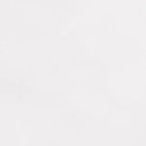 شین‌هان : آبرنگ آرتیست PWC اکسترافاین : Chinese White