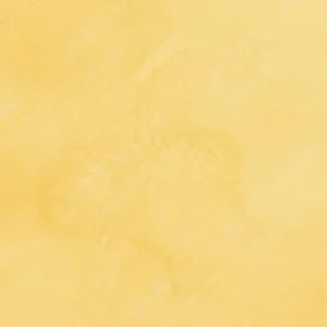 سن‌نلیه : آبرنگ آرتیست : Cadmium Yellow Orange