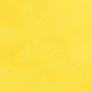 سن‌نلیه : آبرنگ آرتیست : Sennelier Yellow Light