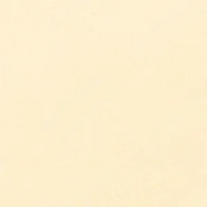مانت ویژن: پاستل نرم : Raw Sienna 443