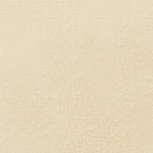 مانت ویژن: پاستل نرم : Cool Tan (Green) 502