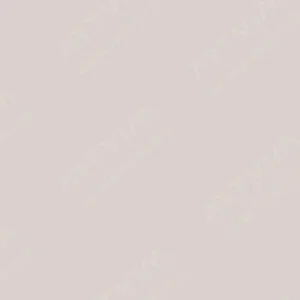 وینزور و نیوتن : مارکر براش پرومارکر : Warm Grey 1
