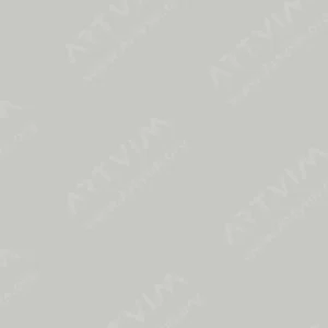 وینزور و نیوتن : پرومارکر : Cool Grey 2 (CG02)