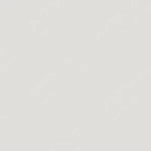 وینزور و نیوتن : پرومارکر : Cool Grey 1 CG01