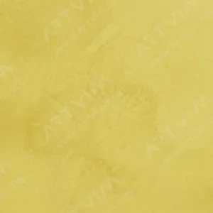 لوکاس: آبرنگ ۱۸۶۲ : Lemon Yellow Primrose