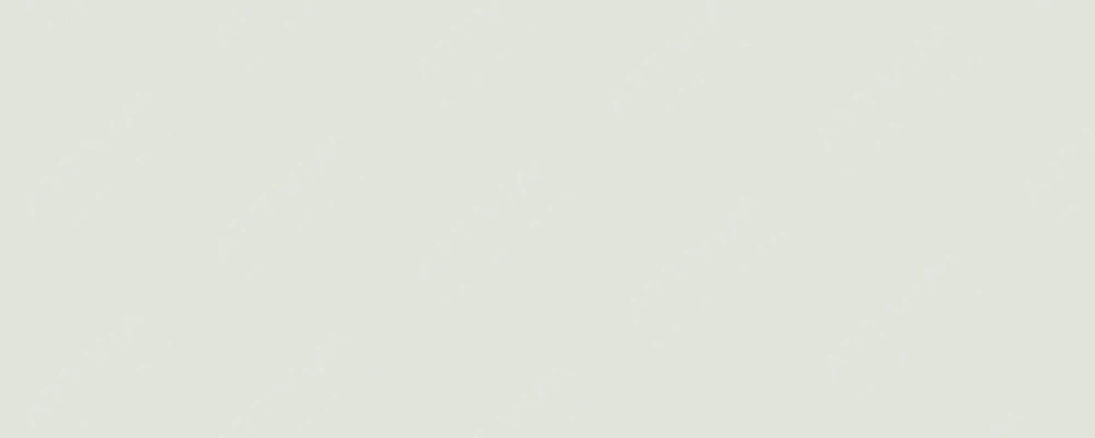 دنیل اسمیت : گواش اکسترافاین : Titanium White