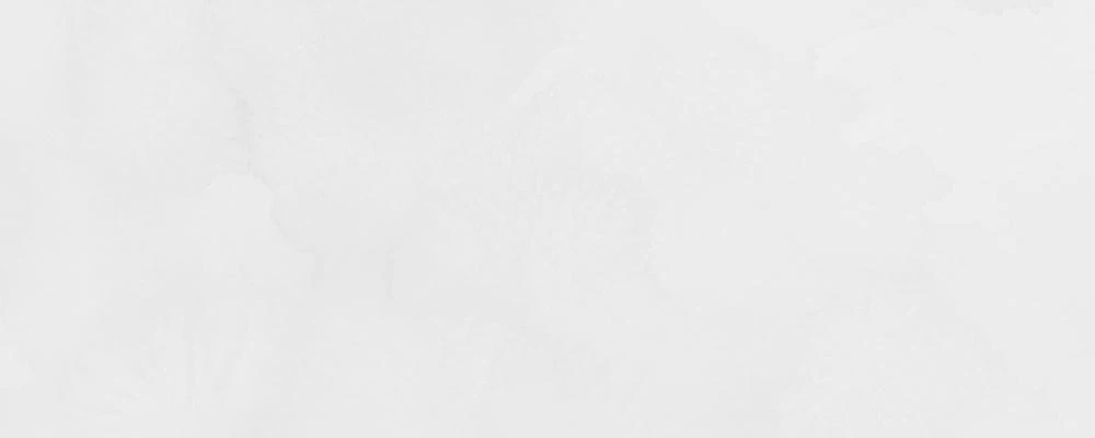 روسا : آبرنگ آرتیست : Titanium White