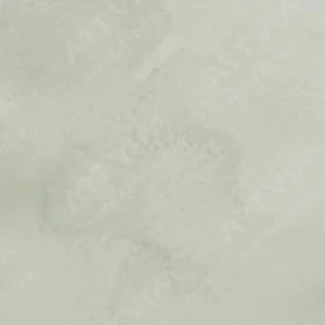 رومن اشمال : آبرنگ آکواریوس : Davy's Grey