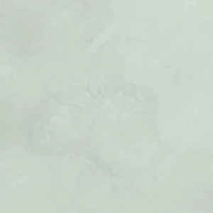 رومن اشمال : آبرنگ آکواریوس : German Green Earth