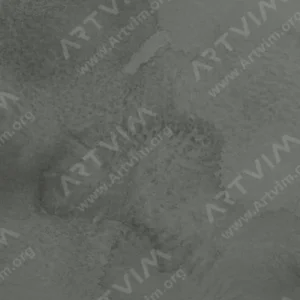 رومن اشمال : آبرنگ آکواریوس : Graphite
