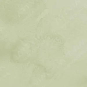 رومن اشمال : آبرنگ آکواریوس : Green Earth