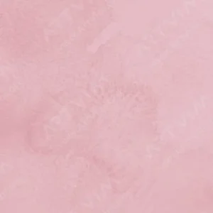 رومن اشمال : آبرنگ آکواریوس : Potter's Pink