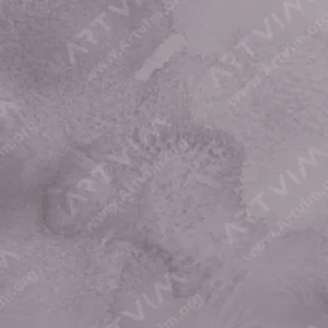 رومن اشمال : آبرنگ آکواریوس : Przybysz's Grey