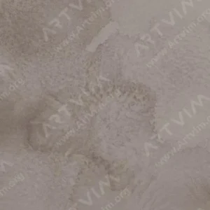 رومن اشمال : آبرنگ آکواریوس : Roman Black