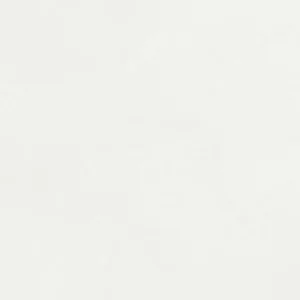 رومن اشمال : آبرنگ آکواریوس : Titanium White