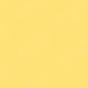 روهر و کلینگر : آبرنگ مایع : Chrome Yellow Middle
