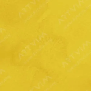 رویال تالنز : آبرنگ آرتیست رامبراند : Cadmium Yellow
