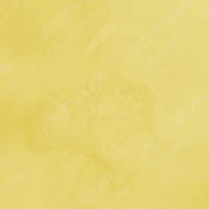 رویال تالنز : آبرنگ آرتیست رامبراند : Cadmium Yellow Lemon