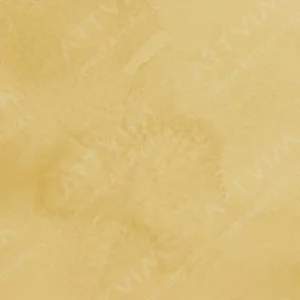 رویال تالنز : آبرنگ آرتیست رامبراند : Naples Yellow Deep