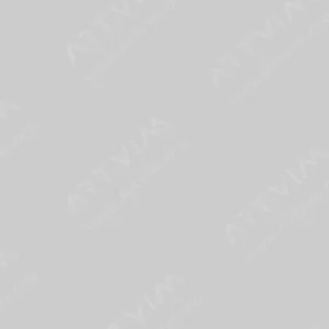 ساکورا : قلم‌موهای رنگی کوی : Light Cool Grey