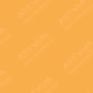 شارون : رنگ روغن آرتیست : French Orange Yellow