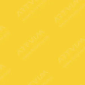 شارون : رنگ روغن آرتیست : French Yellow