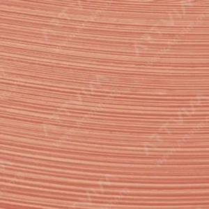 شارون : رنگ روغن آرتیست اکسترافاین : Flesh Ochre