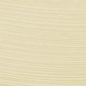 شارون : رنگ روغن آرتیست اکسترافاین : Golden Shell