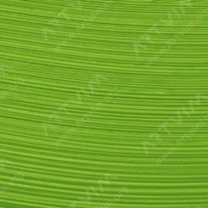 شارون : رنگ روغن آرتیست اکسترافاین : Light Cad Green