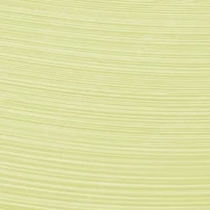 شارون : رنگ روغن آرتیست اکسترافاین : Saint Remy Yellow