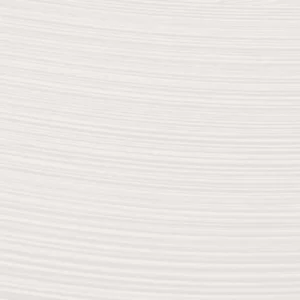 شارون : رنگ روغن آرتیست اکسترافاین : Titanium White