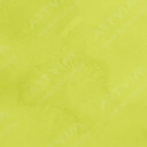 شین‌هان : آبرنگ آرتیست PWC اکسترافاین : Cadmium Green Pale