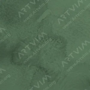 شین‌هان : آبرنگ آرتیست PWC اکسترافاین : Terre Verte