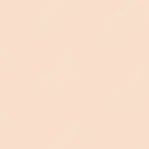 شین‌هان : جوهر شارژ مارکر الکلی دوسر تاچ : Barely Beige YR29