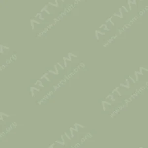 شین‌هان : جوهر شارژ مارکر الکلی دوسر تاچ : Grayish Olive Green GY233