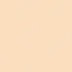 شین‌هان : جوهر شارژ مارکر الکلی دوسر تاچ : Pastel Peach YR26