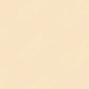 شین‌هان : جوهر شارژ مارکر الکلی دوسر تاچ : Raw Silk BR134