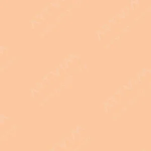 شین‌هان : جوهر شارژ مارکر الکلی دوسر تاچ : Salmon Pink YR25