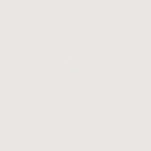شین‌هان : جوهر شارژ مارکر الکلی دوسر تاچ : Warm Grey WG0.5