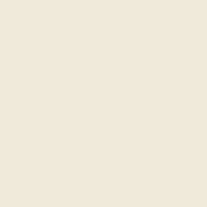 فلور : رنگ طراحی گچی : Chalk White