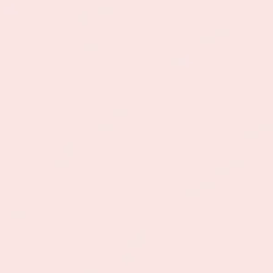 فلور : رنگ طراحی گچی : Pink Rococo
