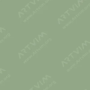 کوپیک : مارکر چیائو : Greyish Olive