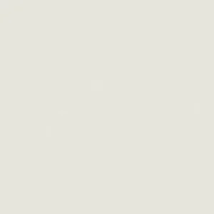 کوپیک : مارکر چیائو : Warm Grey No.0