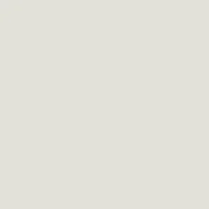 کوپیک : مارکر چیائو : Warm Grey No.1