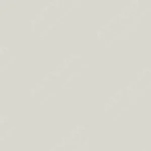 کوپیک : مارکر چیائو : Warm Grey No.2