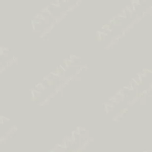 کوپیک : مارکر چیائو : Warm Grey No.3